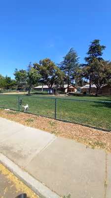 Owls Head Park Dog Run photo 1